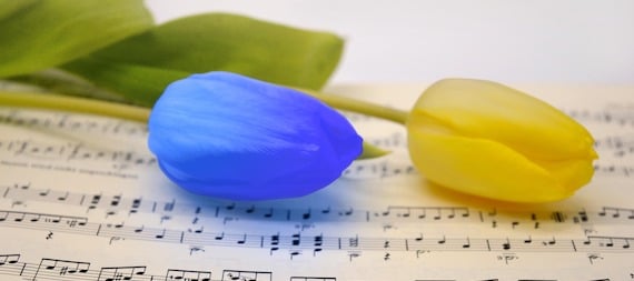 Why Spring is a great time to start music lessons