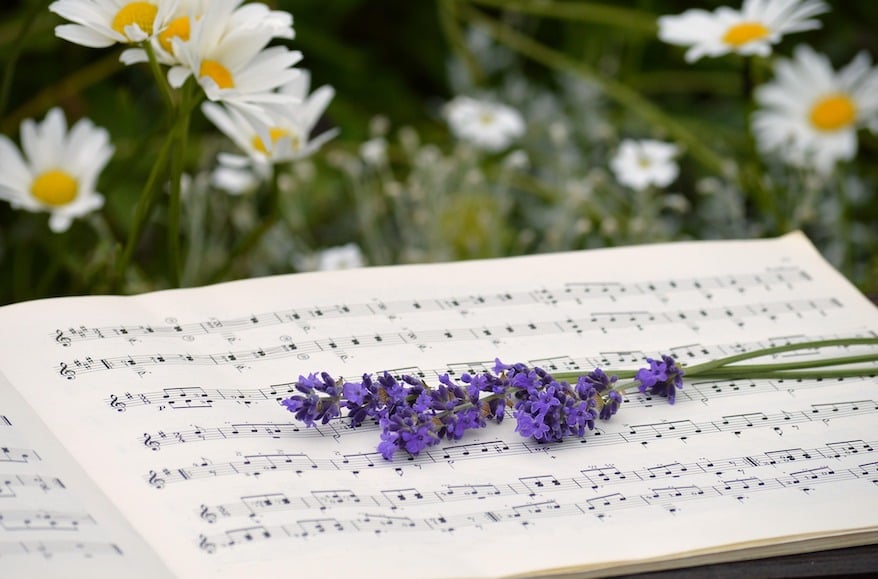 Why Summer Is the Perfect Time to Start Music Lessons