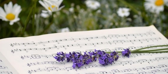 Why Summer Is the Perfect Time to Start Music Lessons